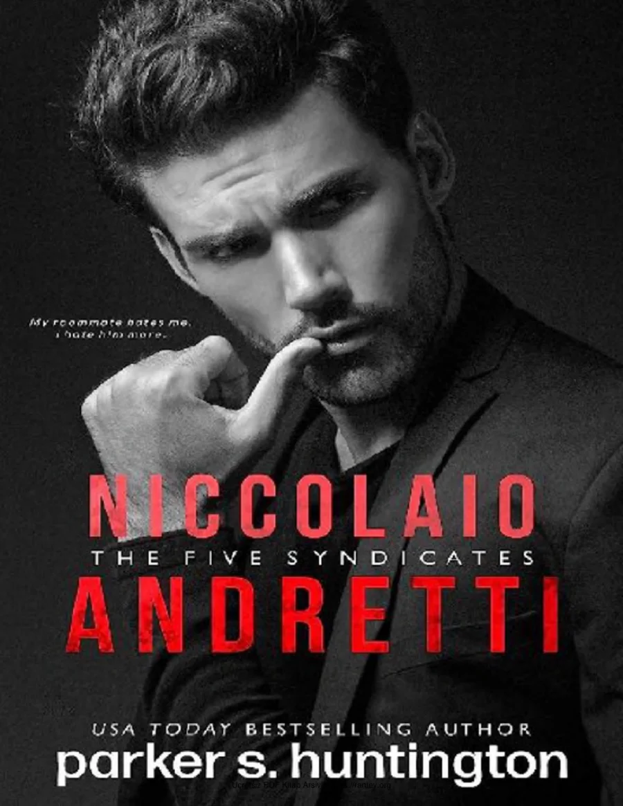 Niccolaio Andretti kapak görseli