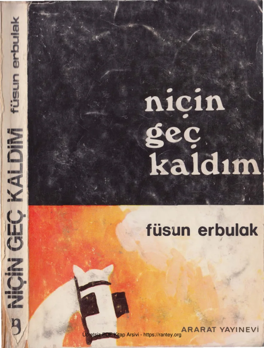 Niçin Geç Kaldım kapak görseli