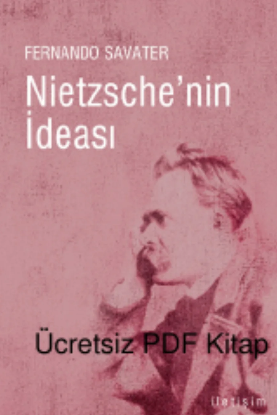 Nietzsche nin İdeası kapak görseli