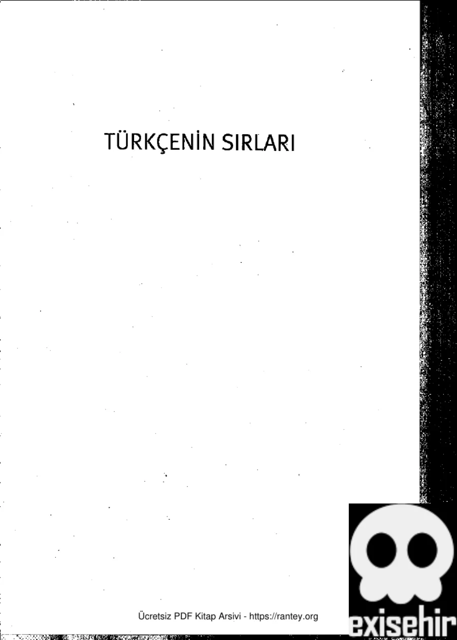 Nihad Sami Banarli kapak görseli