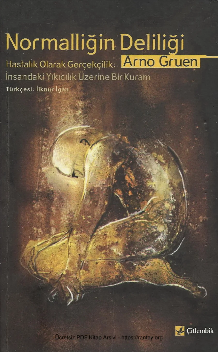Normalliğin Deliliği kapak görseli