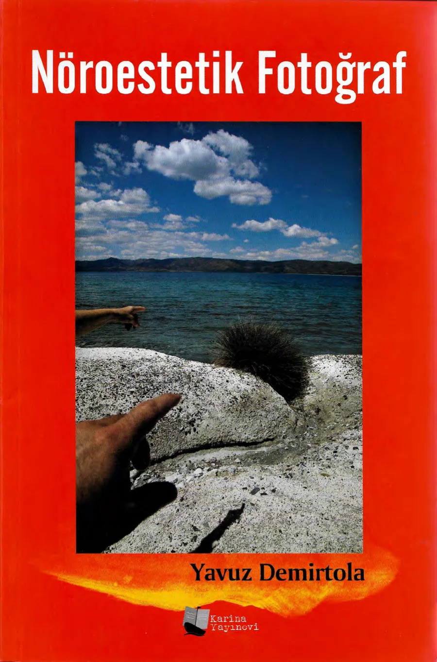 Nöroestetik Fotoğraf kapak görseli