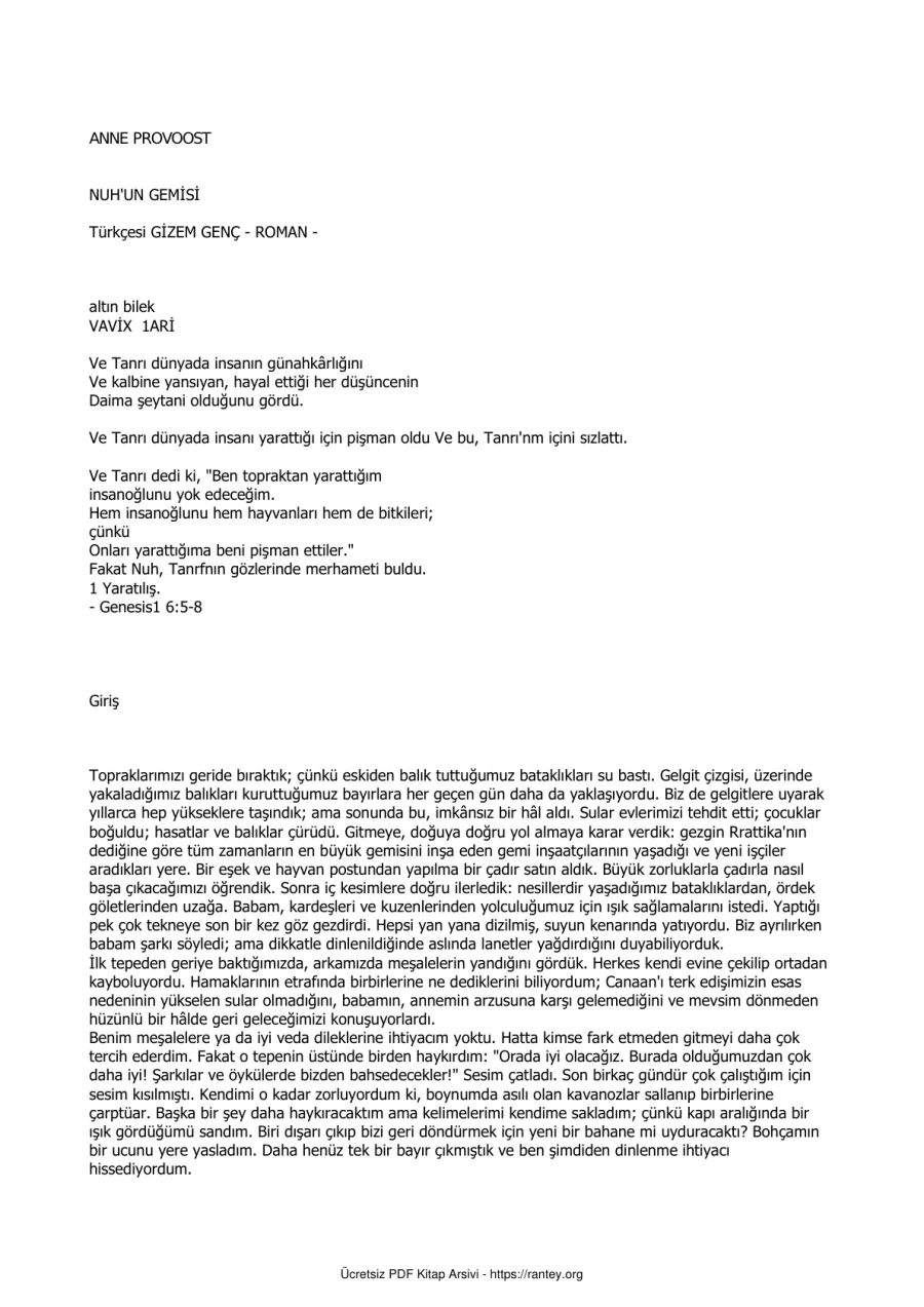 Nuhun Gemisi kapak görseli
