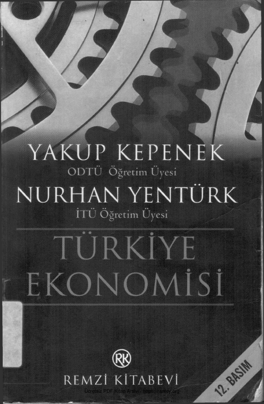 Nurhan Yentürk Türkiye Ekonomisi Remzi Kitabevi kapak görseli