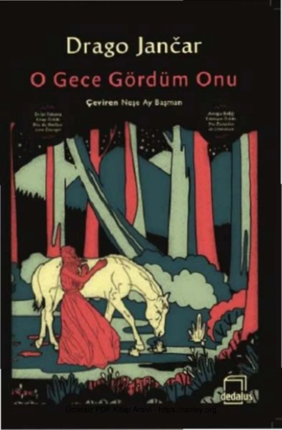 O Gece Gördüm Onu kapak görseli