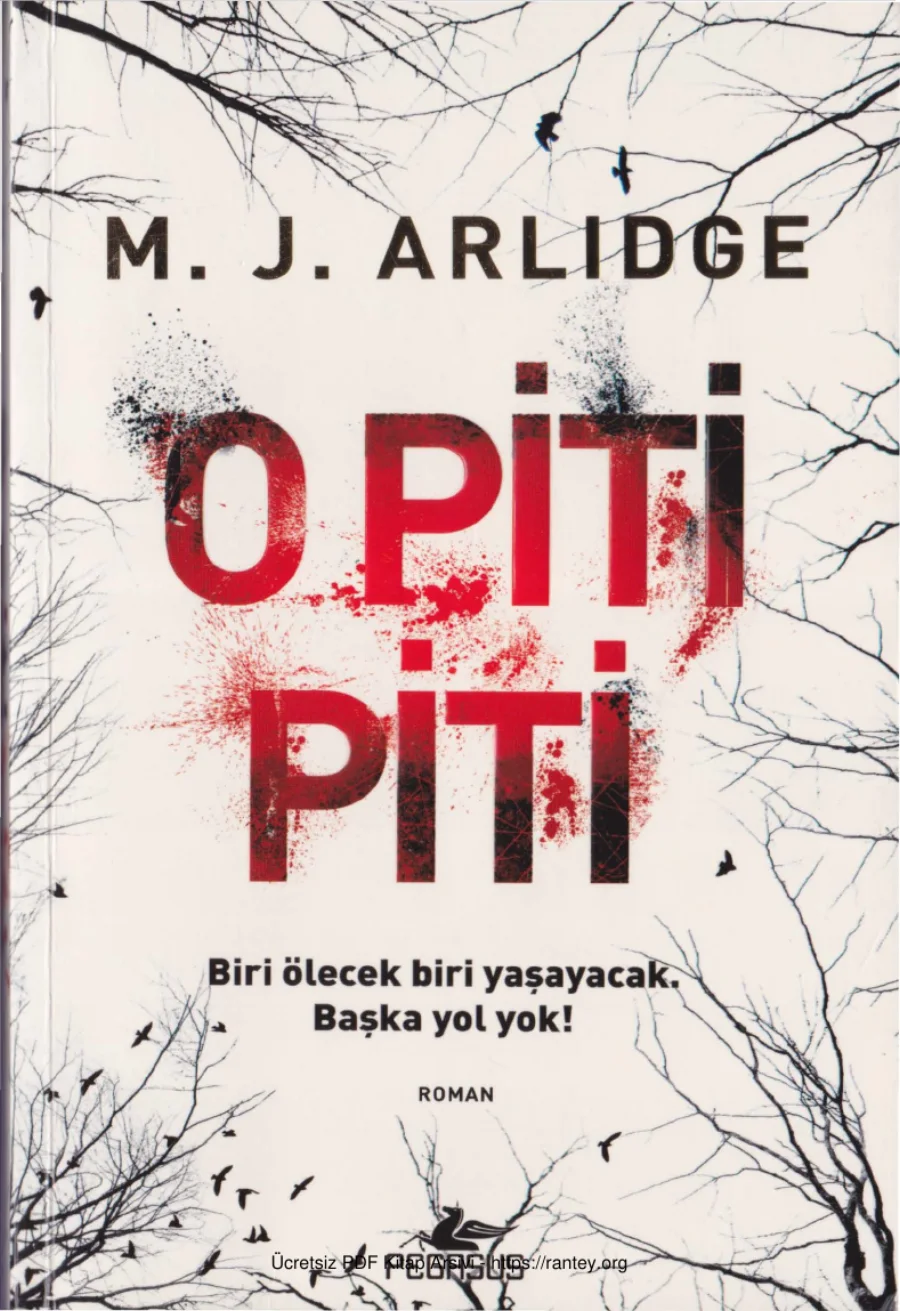 O Piti Piti kapak görseli