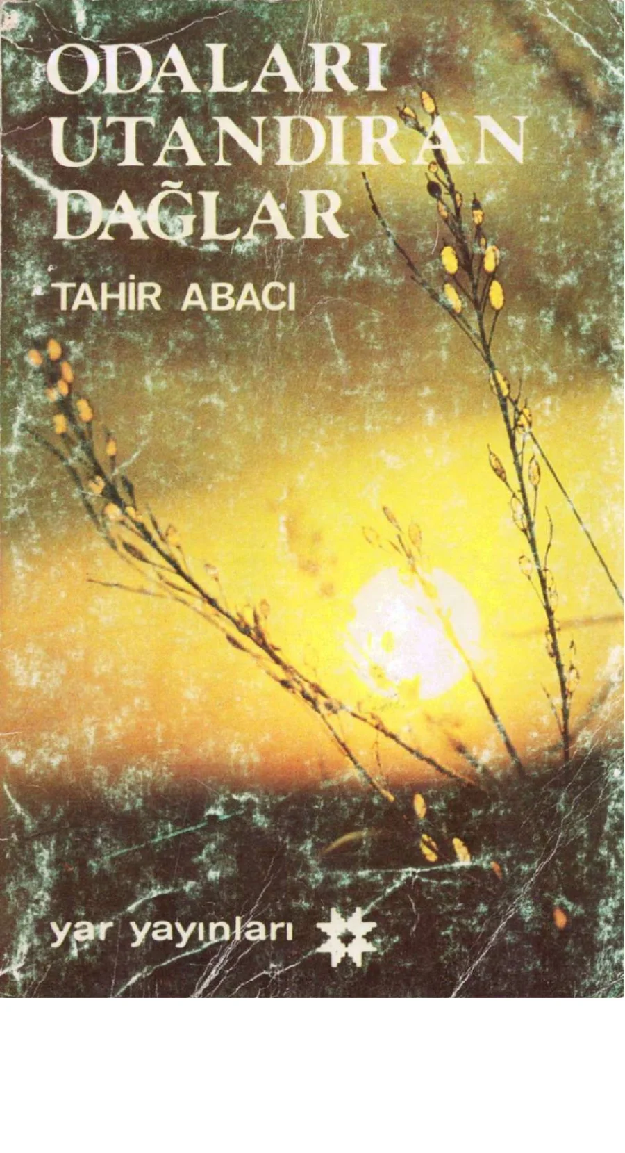 Odaları Utandıran Dağlar kitap kapağı