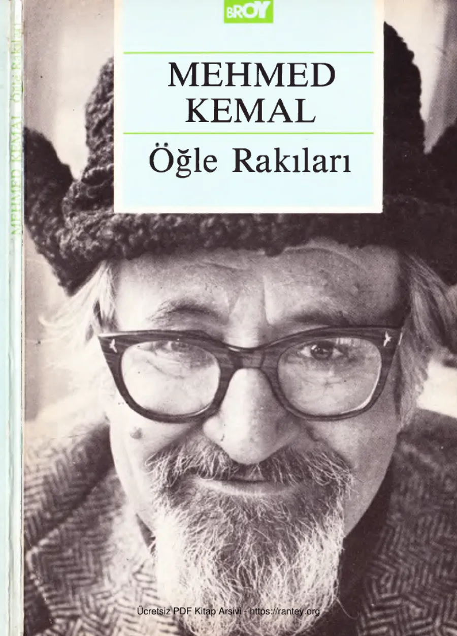 Öğle Rakıları kapak görseli