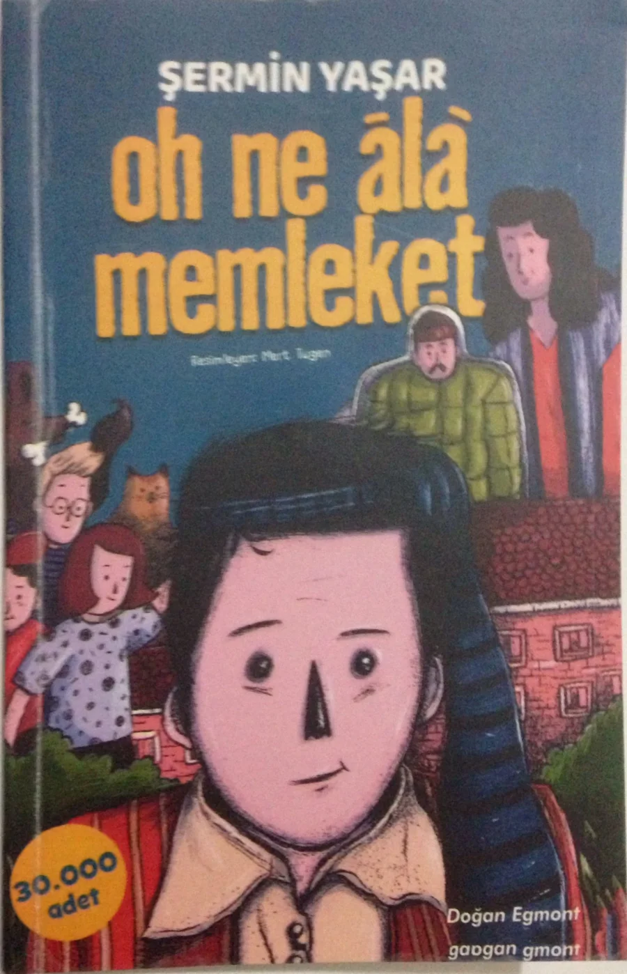 Oh Ne Âlâ Memleket kapak görseli