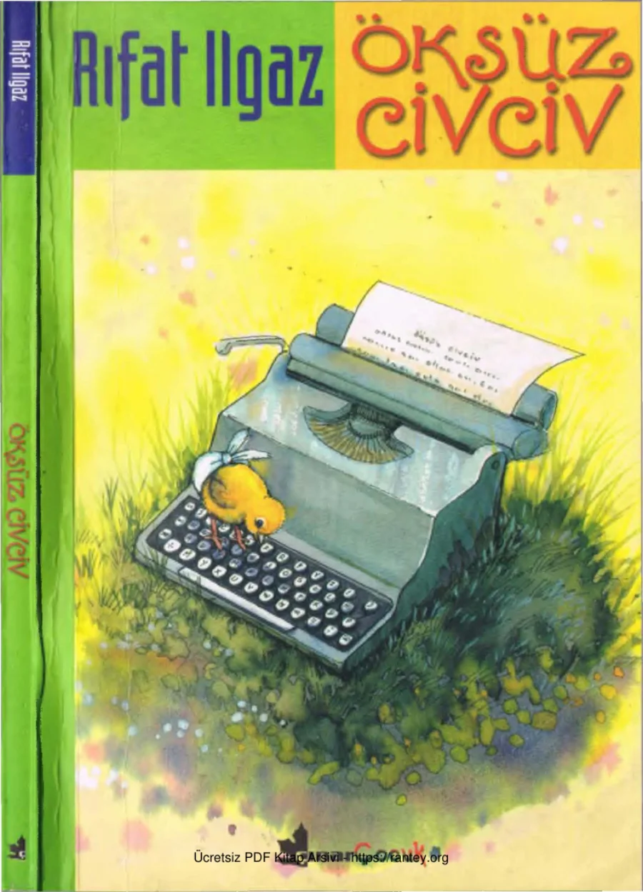 Öksüz Civciv kapak görseli