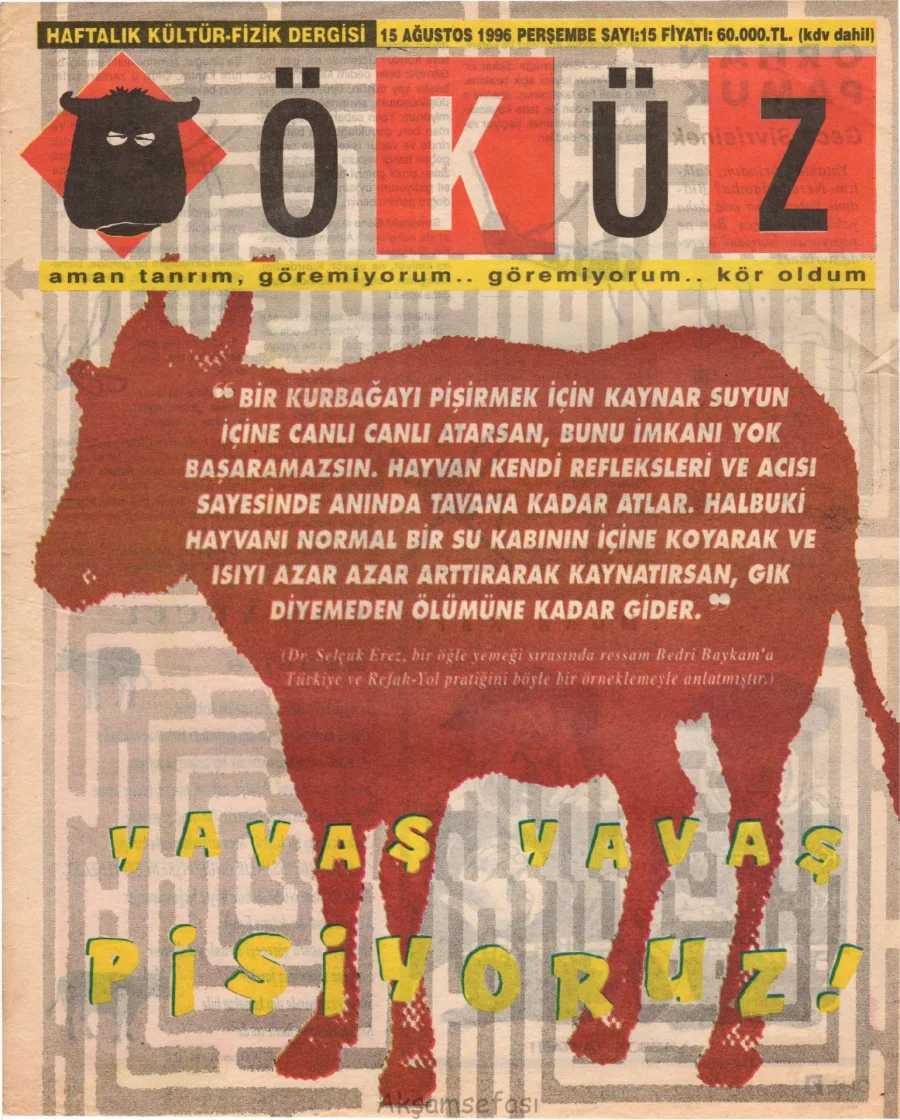 Öküz - Sayı 15 kapak görseli