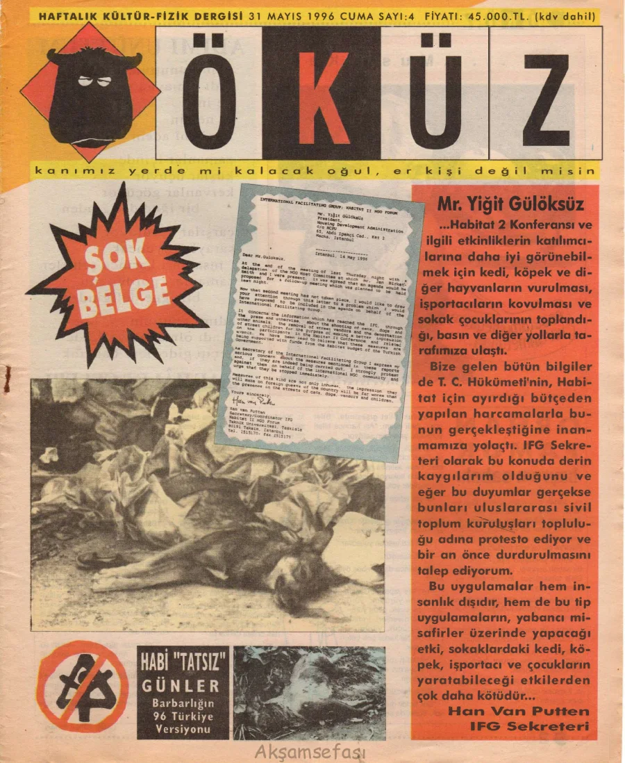Öküz - Sayı 4 kapak görseli