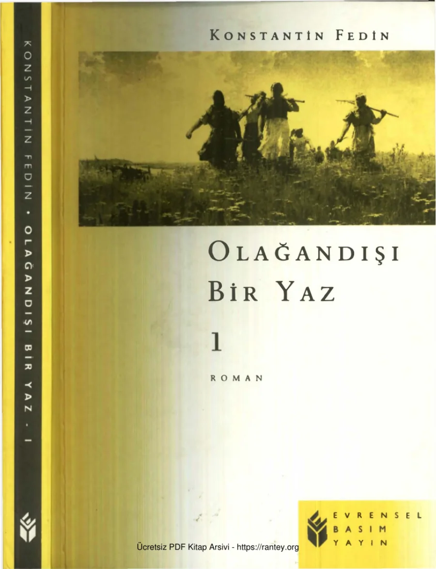 Olağandışı Bir Yaz I kapak görseli
