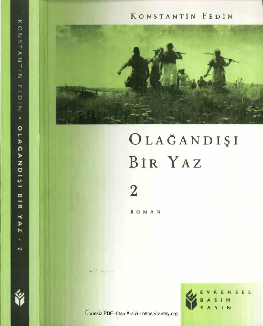 Olağandışı Bir Yaz II kapak görseli