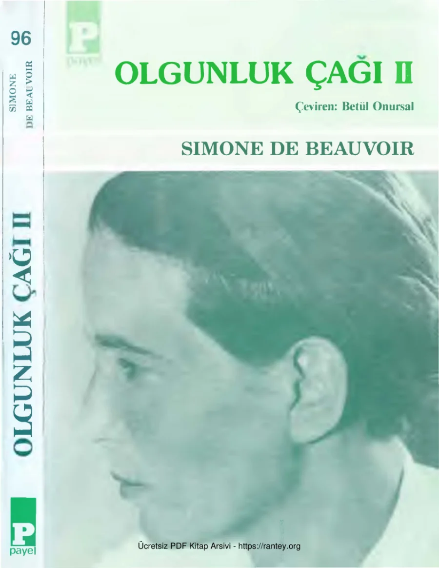 Olgunluk Çağı 2 kapak görseli
