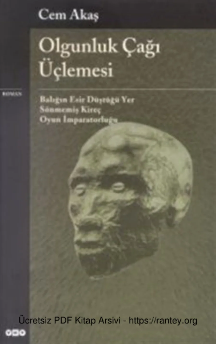 Olgunluk Çağı Üçlemesi kapak görseli