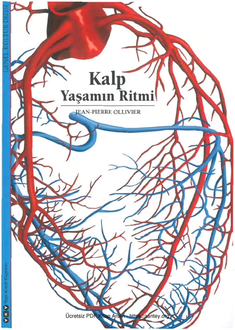 Ollivier Kalp Yaşamın Ritmi kapak görseli