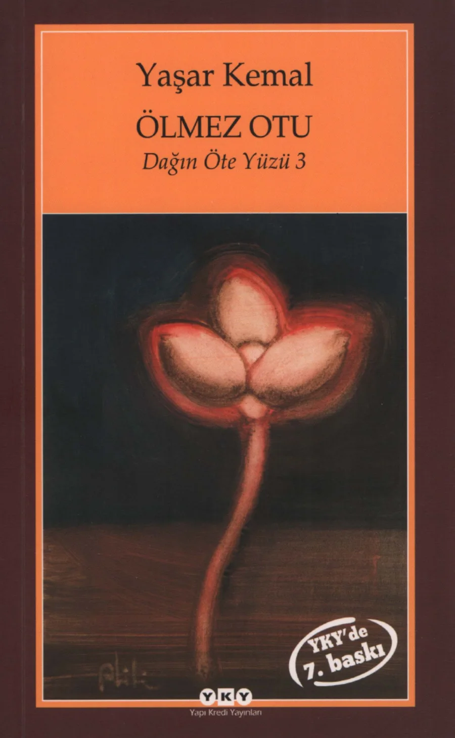 Ölmez Otu - Dağın Öte Yüzü 3 kapak görseli