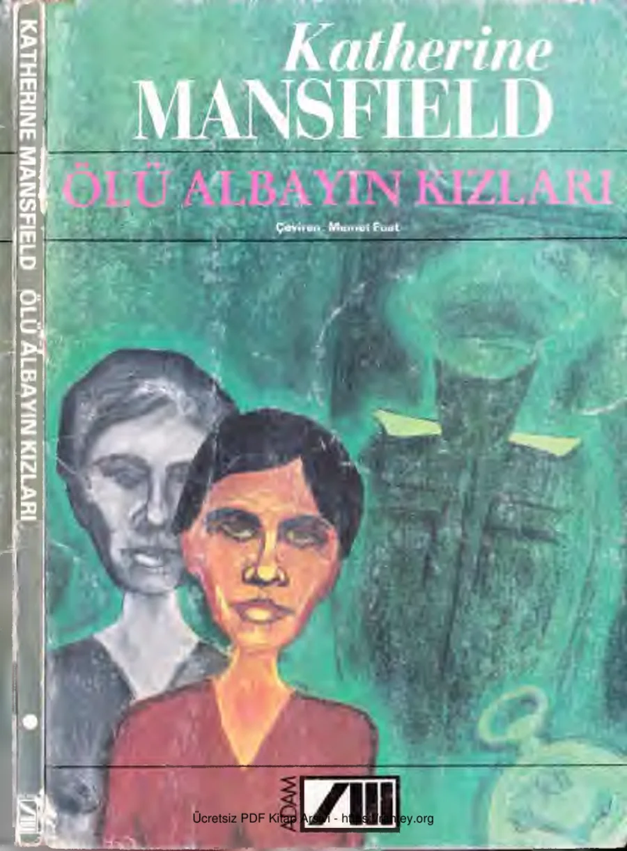 Ölü Albayın Kızları kapak görseli
