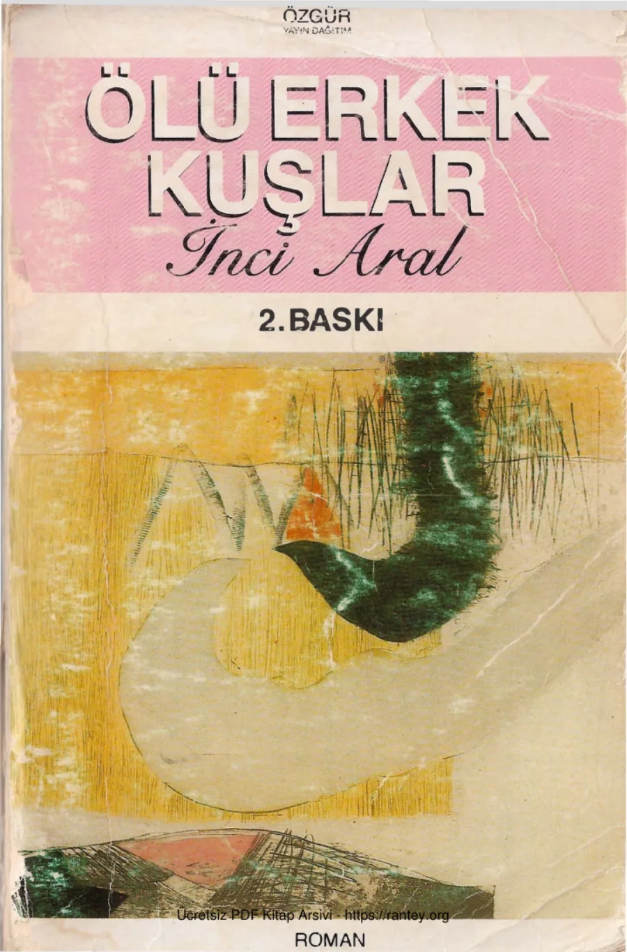 Ölü Erkek Kuşlar kapak görseli
