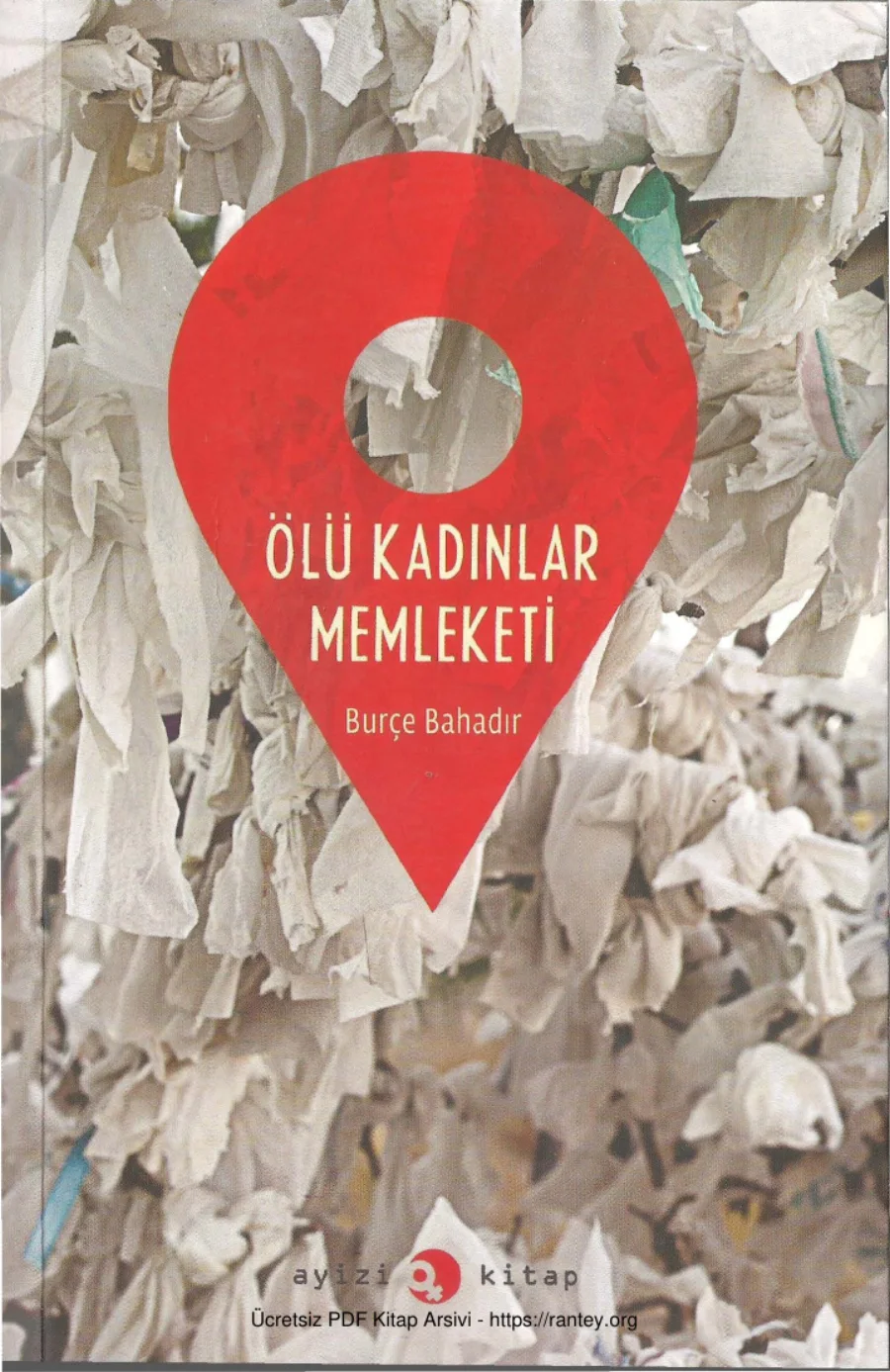 Ölü Kadınlar Memleketi Ayizi Yayınları kapak görseli
