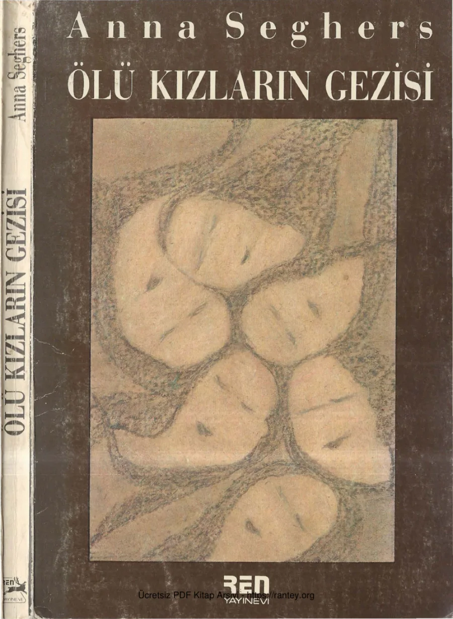 Ölü Kızların Gezisi kapak görseli