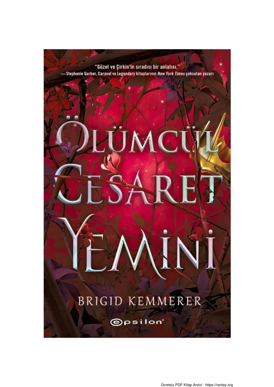Ölümcül Cesaret Yemini kapak görseli