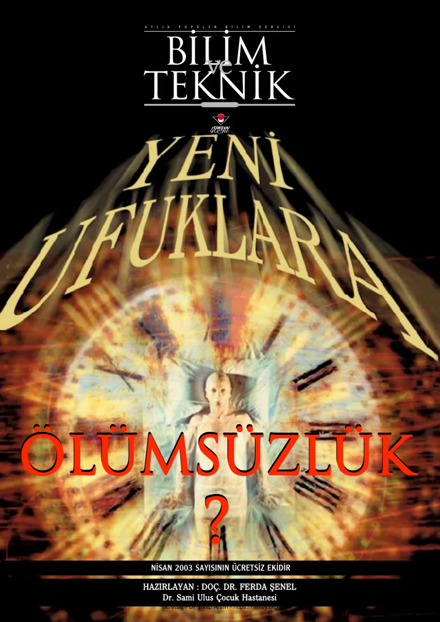Olumsuzluk kapak görseli