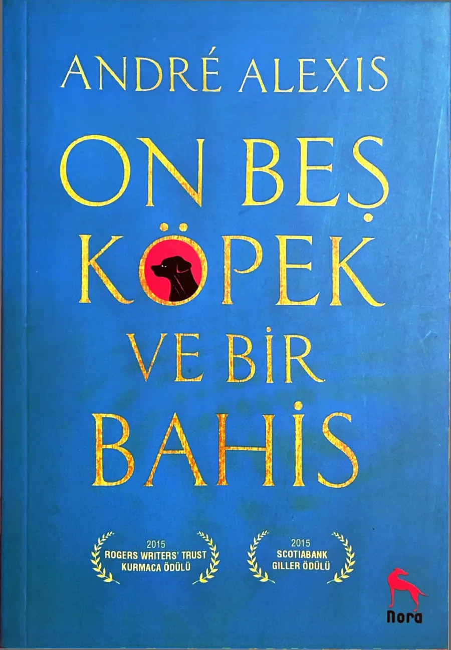On Beş Köpek ve Bir Bahis kapak görseli