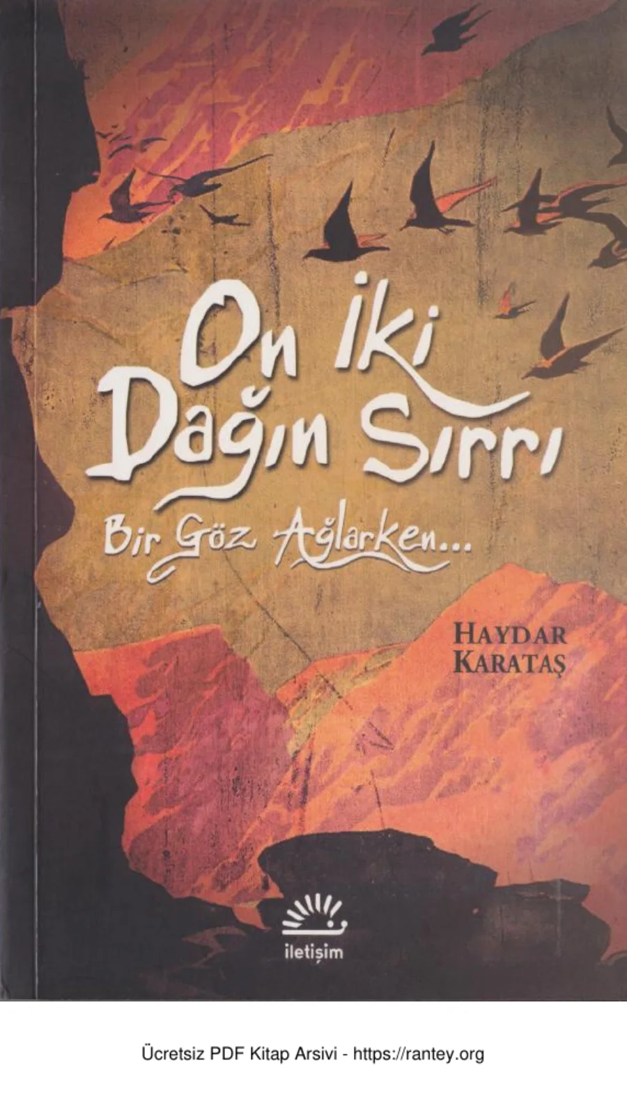 On İki Dağın Sırrı kapak görseli