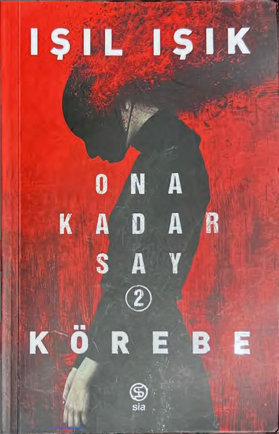 Ona Kadar Say 2: Körebe kapak görseli