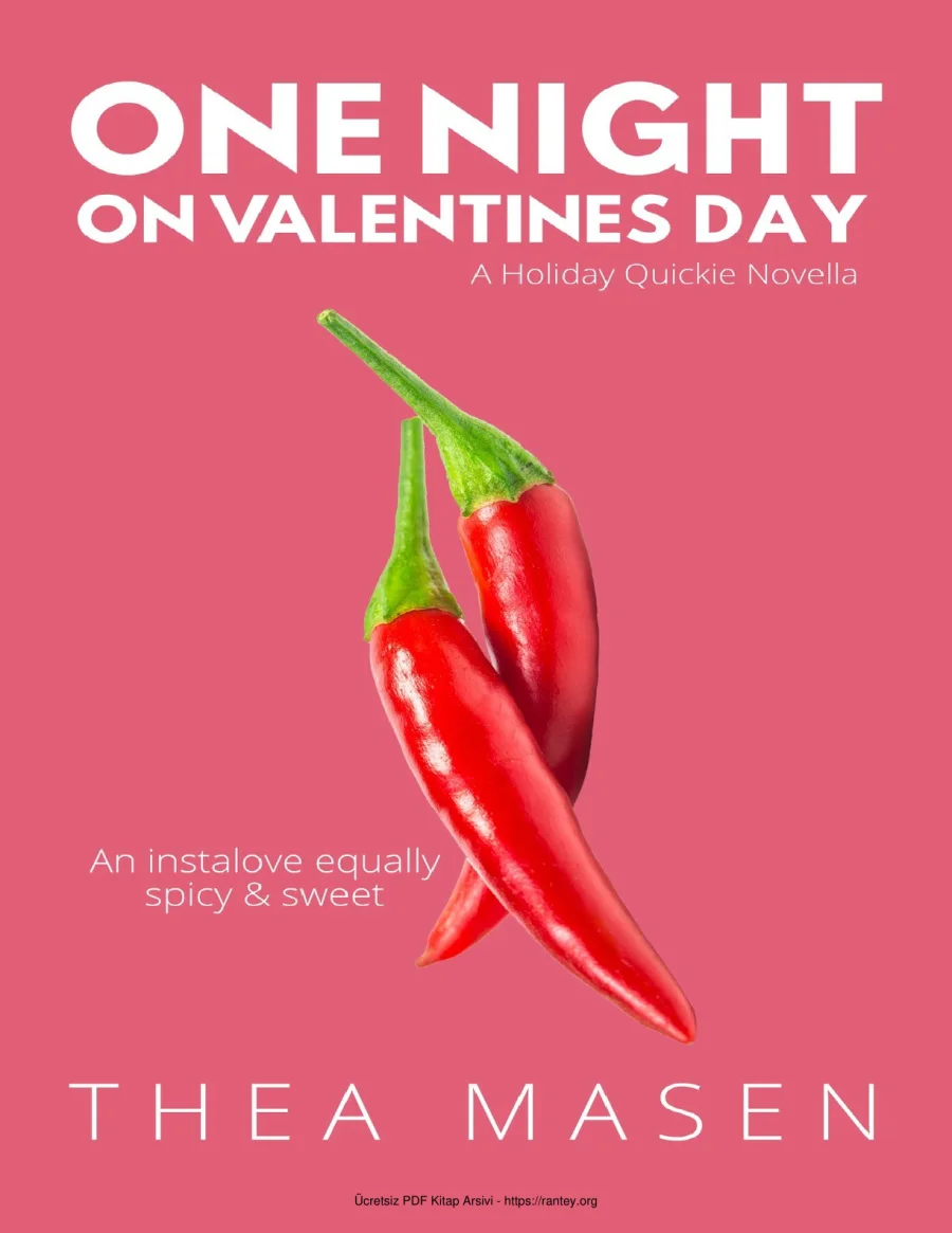 One Night on Valentines Day kapak görseli