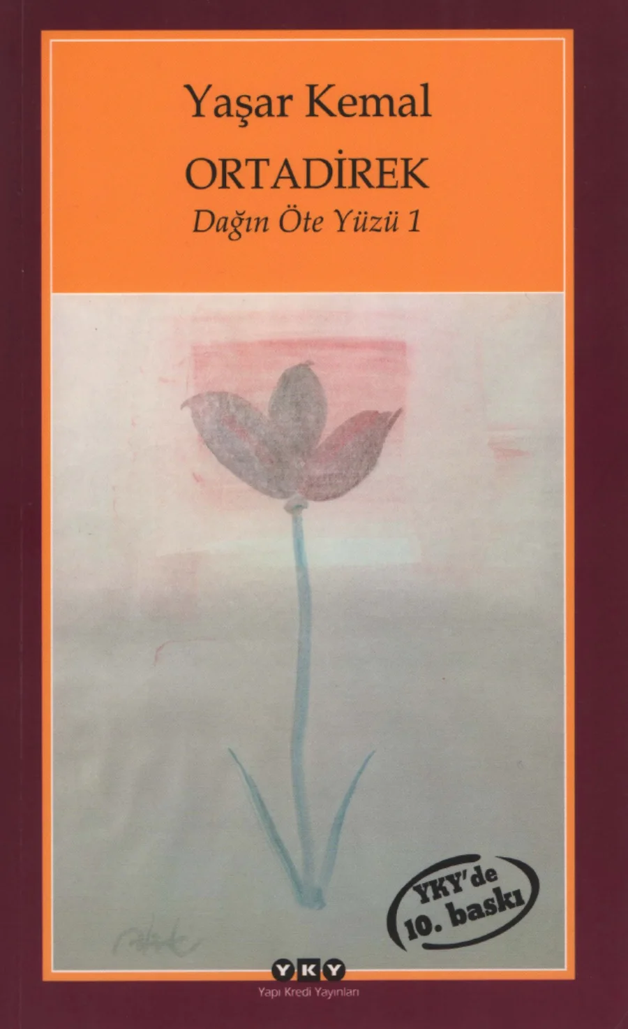 Ortadirek - Dağın Öte Yüzü 1 kapak görseli