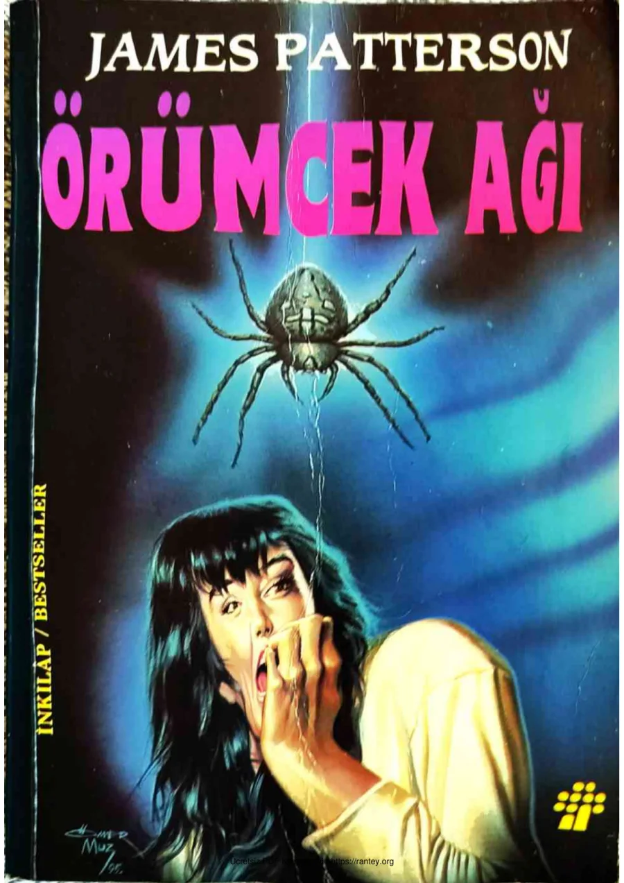 Örümcek Ağı kapak görseli