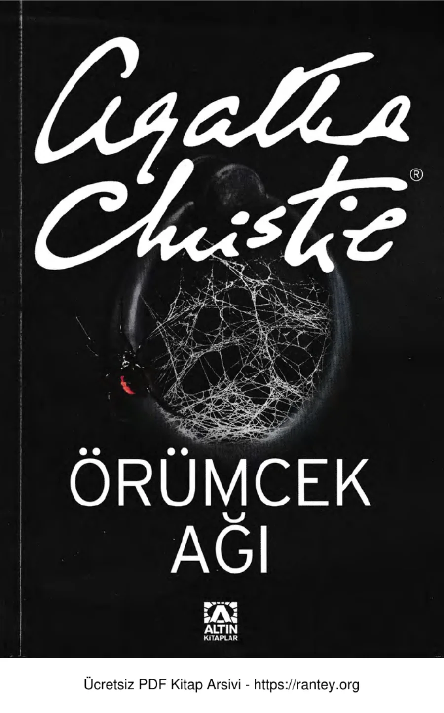 Örümcek Ağı kapak görseli