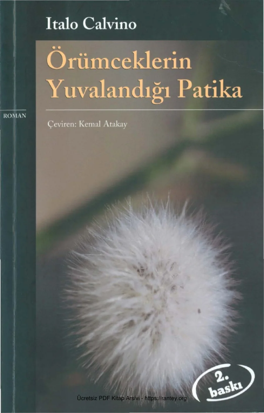 Örümceklerin Yuvalandığı Patika kapak görseli