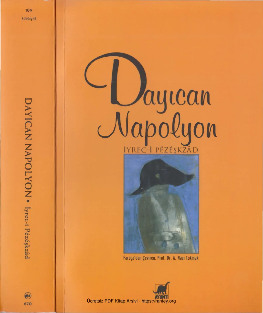 Dayıcan Napolyon kitap kapağı