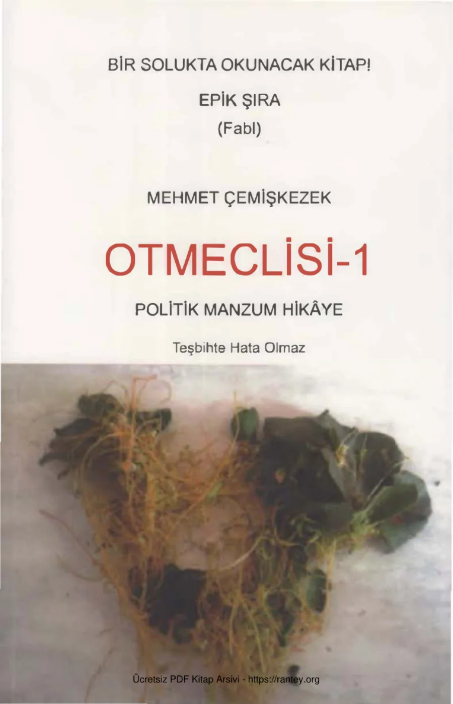 Ot Meclisi 1 Kozalak Yayınları kapak görseli