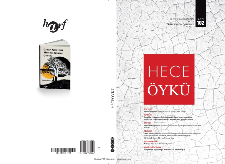 Öykü Sayı 102 kapak görseli