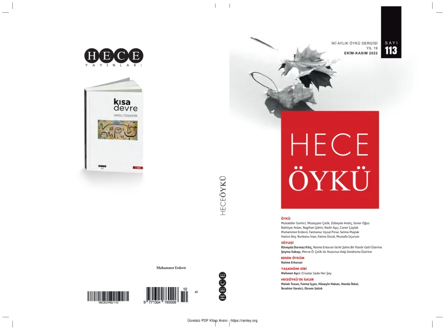 Öykü Sayı 113 kapak görseli