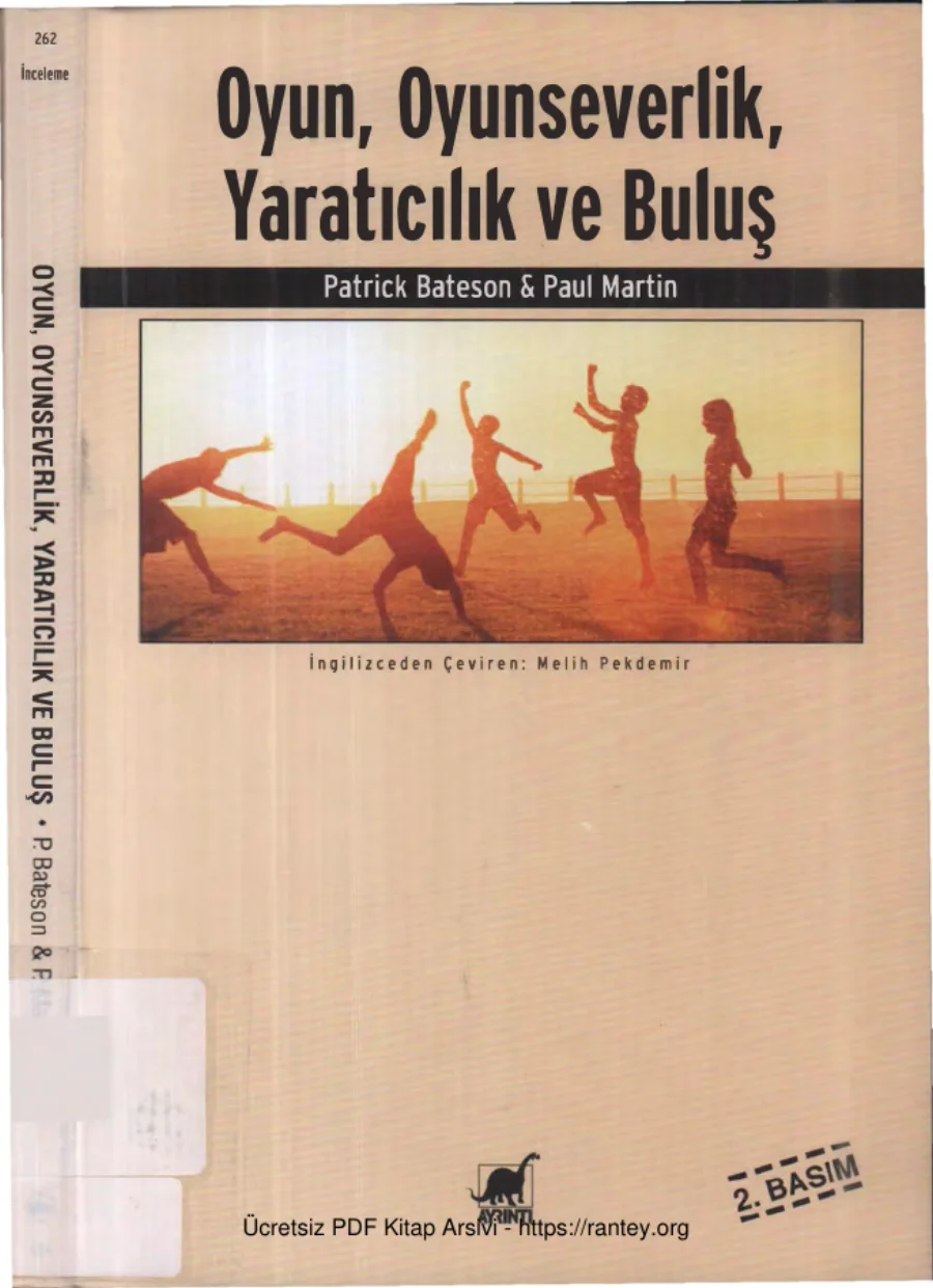 Oyun Oyunseverlik Yaratıcılık ve Buluş kapak görseli