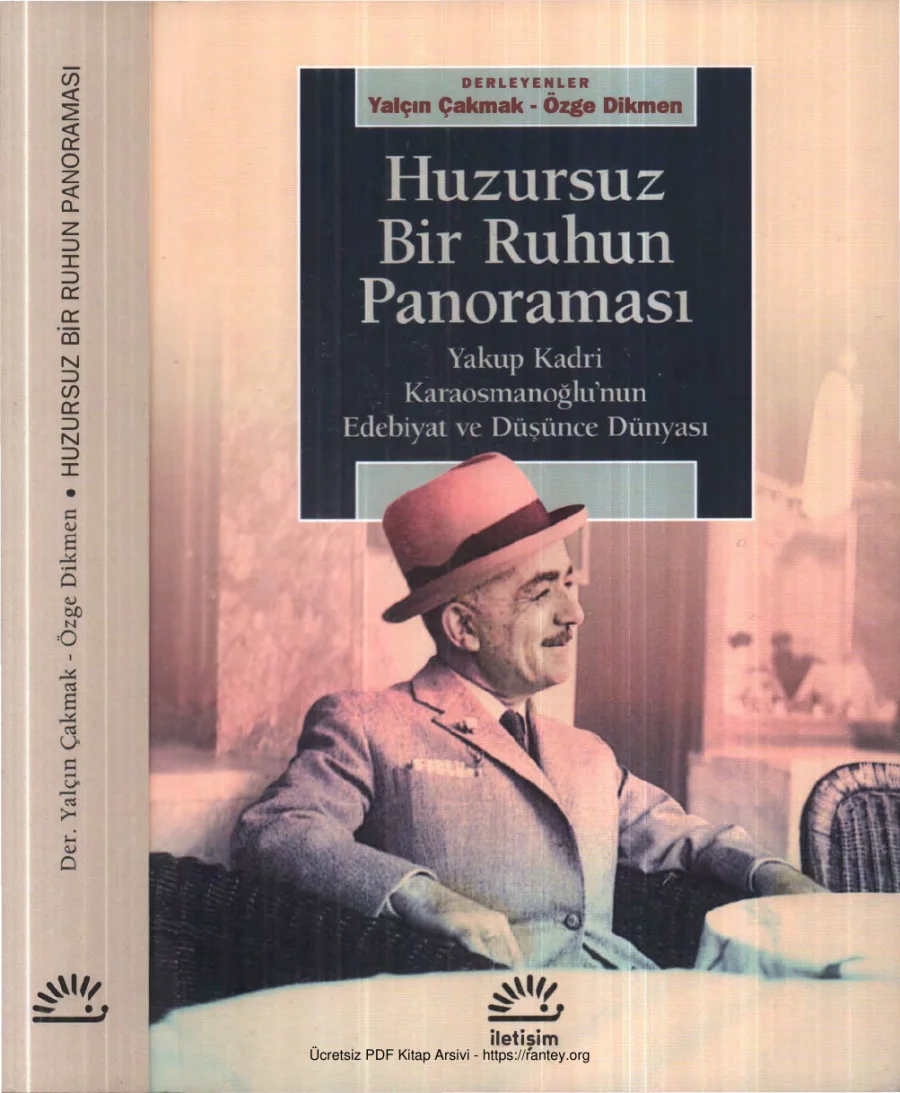 Özge Dikmen Huzursuz Bir Ruhun Panoraması kapak görseli