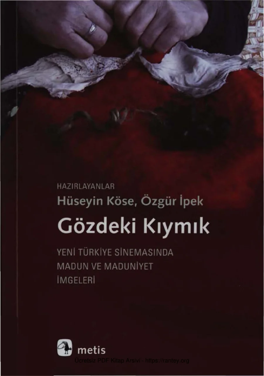 Özgür İpek Gözdeki Kıymık Metis Yayınları kapak görseli