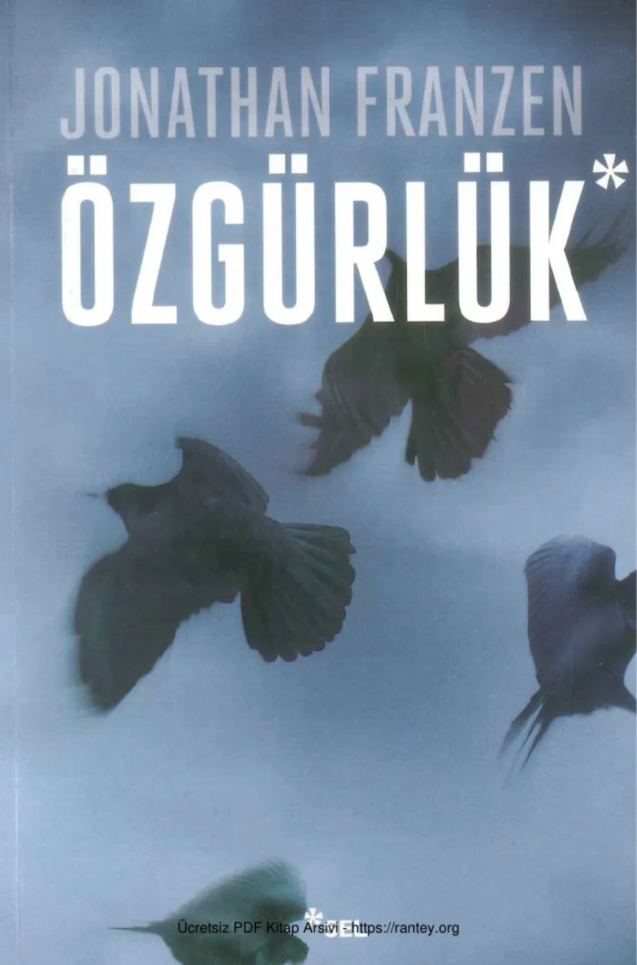 Özgürlük kapak görseli