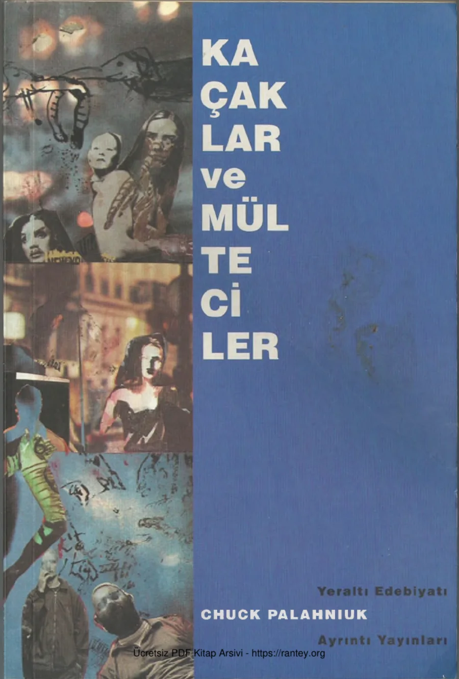 Palahniuk kapak görseli