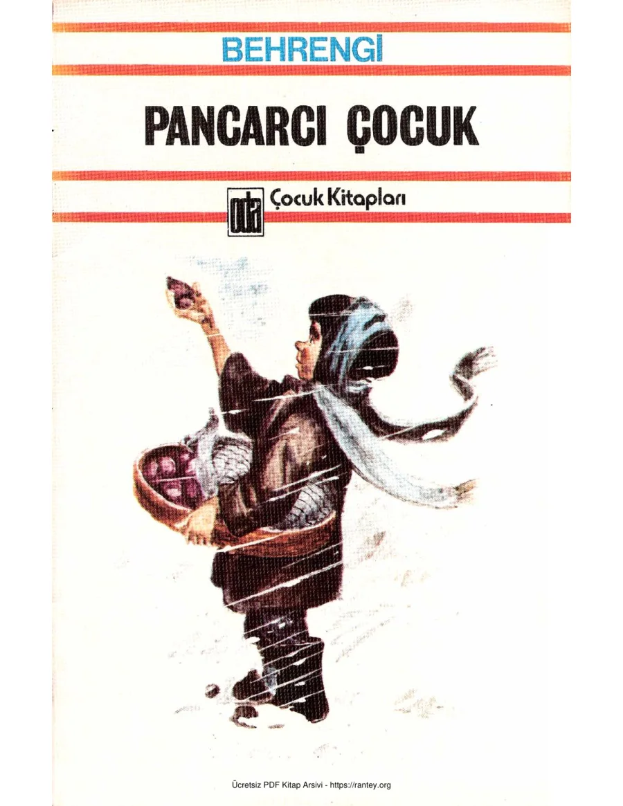 PANCARCI ÇOCUK kapak görseli