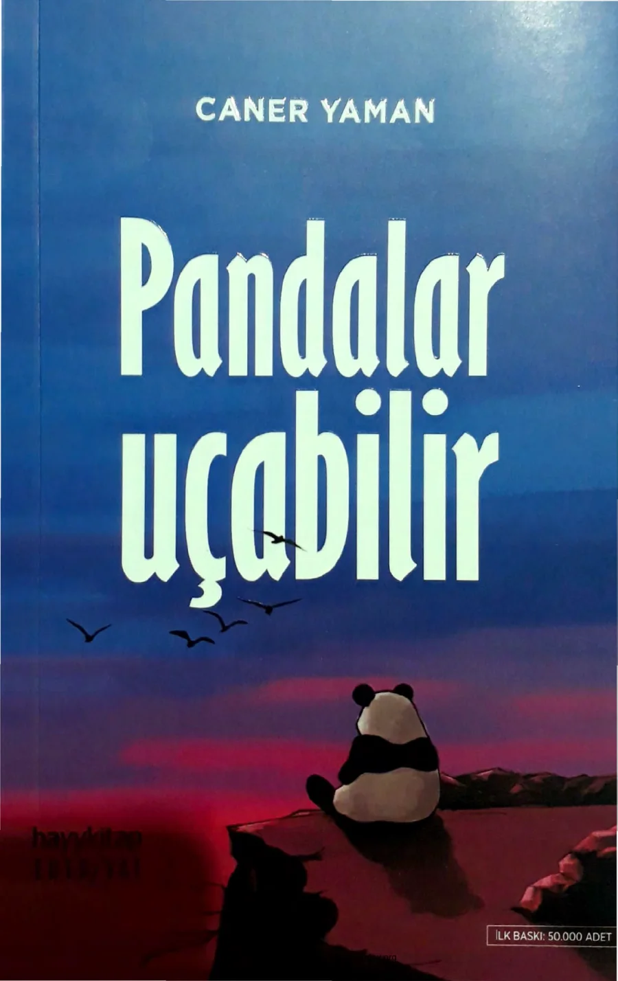Pandalar Uçabilir kapak görseli
