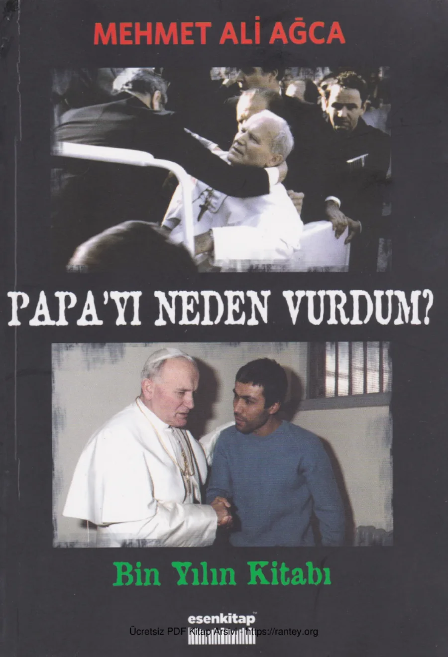 Papayı Neden Vurdum kapak görseli