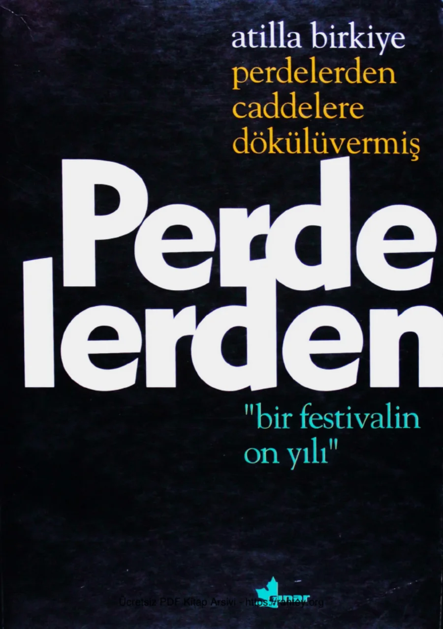 Perdelerden Caddelere Dökülüvermiş Bir Festivalin On Yılı Çınar Yayınları kapak görseli