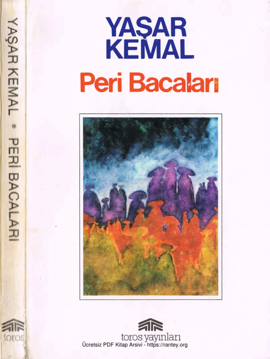 Peri Bacaları kapak görseli